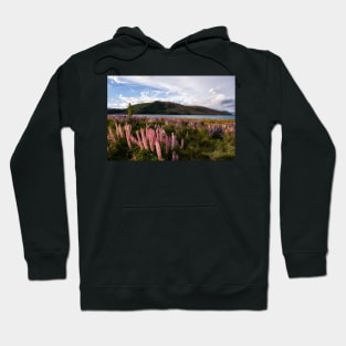 Lupins Lupins Everywhere Hoodie